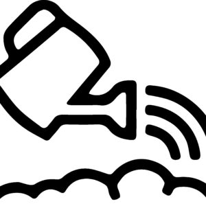 Picking Up Mail/Watering Plants/Medication